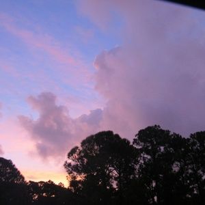 Meet your Posher, Allie